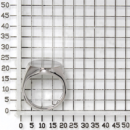 925 STERLING SILVER RING