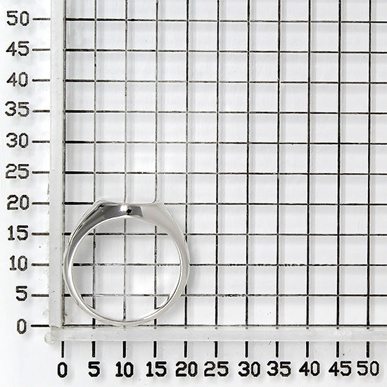 925 STERLING SILVER RING