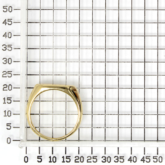 925 STERLING SILVER RING